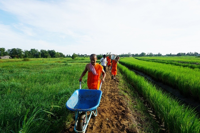 Nhà chùa đóng vai trò quan trong trọng, tuyên truyền, vận động phật tử cùng đồng hành với chính quyền địa phương xây dựng NTM. Ảnh: Kim Anh.