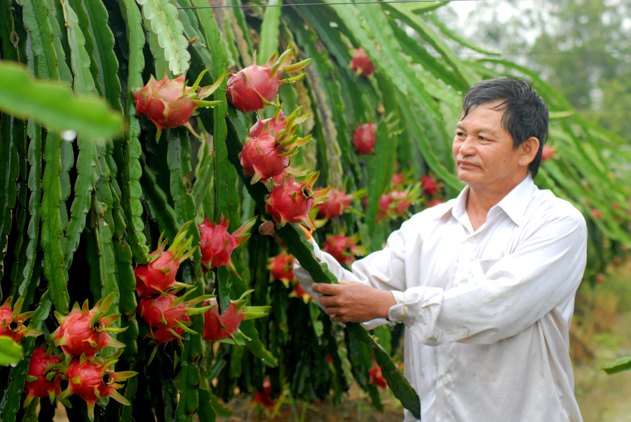 Long An kỳ vọng đến năm 2025, giữ vững vị trí dẫn đầu vùng ĐBSCL và phấn đấu đến năm 2030 trở thành tỉnh phát triển khá trong Vùng kinh tế trọng điểm phía Nam về công nghiệp và nông nghiệp. Ảnh: Lê Hoàng Vũ.