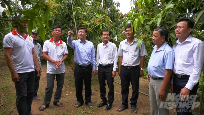 Ông Trần Thanh Nam, Chủ tịch UBND huyện Tam Nông (thứ 5 từ phải sang) tham quan mô hình chuyển đổi đất lúa sang trồng xoài, mỗi năm đem lại lợi nhuận hàng trăm triệu đồng. Ảnh: Lê Hoàng Vũ.