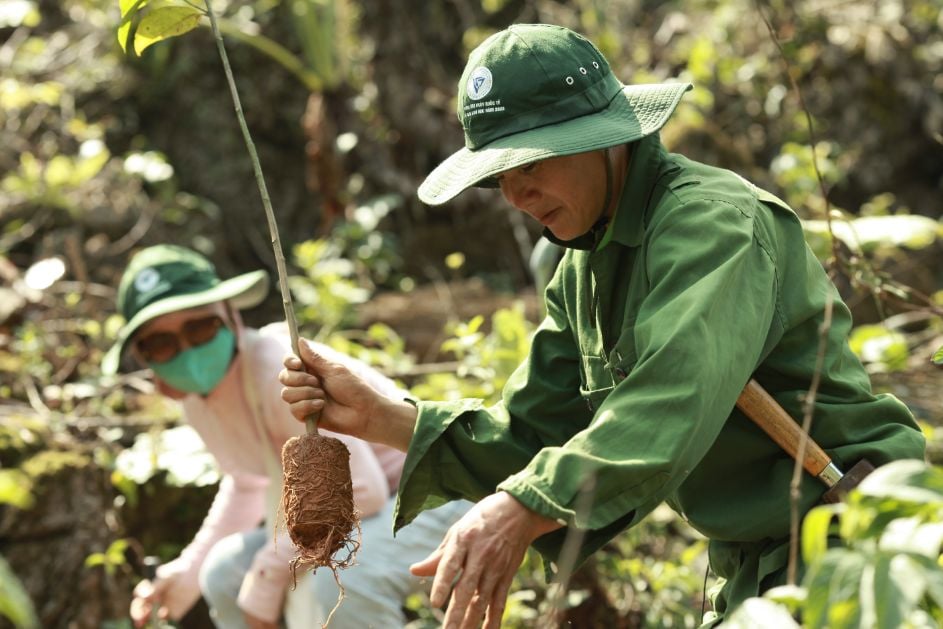 Tập đoàn TH chung tay 'vá rừng' tại xã Vân Hồ, huyện Vân Hồ, tỉnh Sơn La, tháng 5/2023.