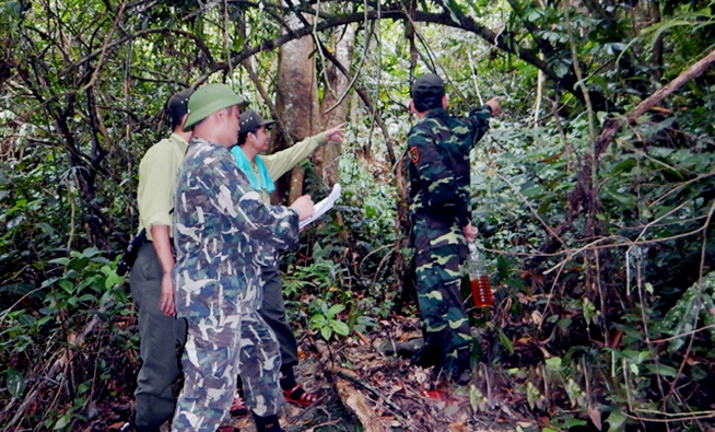 Nhiệm vụ tuần tra bảo vệ rừng luôn được đưa lên hàng đầu ở VQG Phong Nha - Kẻ Bàng. Ảnh: H.T.