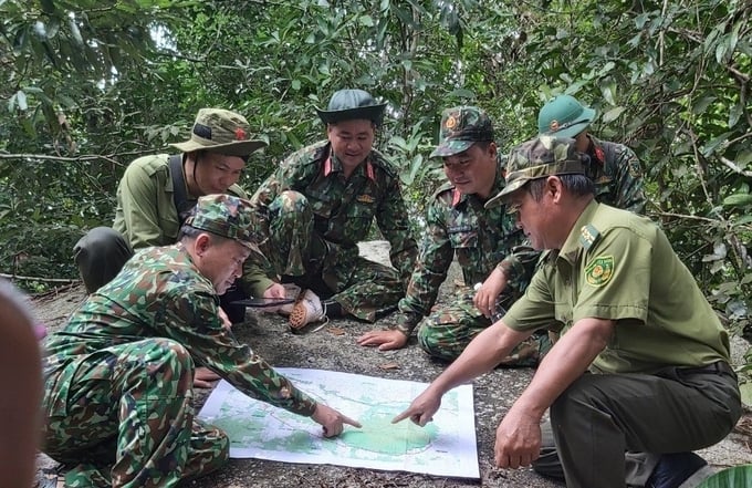Bình Thuận đang áp dụng nhiều giải pháp trong công tác quản lý, bảo vệ rừng. Ảnh: Kim Sơ.