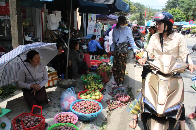 Mận tam hoa cuối vụ và lê VH6 đầu vụ được bán tại trung tâm huyện Bắc Hà thu hút đông khách hàng. Ảnh: Xuân Cường.