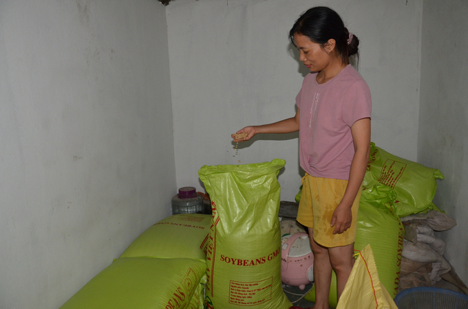 Many facilities use soybeans with the word 'GMO' on the package but do not know that it is genetically modified products because there is no translation in Vietnamese. Photo: Duong Dinh Tuong.