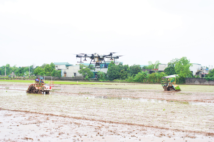 The application of mechanization is not only done individually at each stage but must be carried out synchronously at all stages of the production process. Photo: Trung Quan.