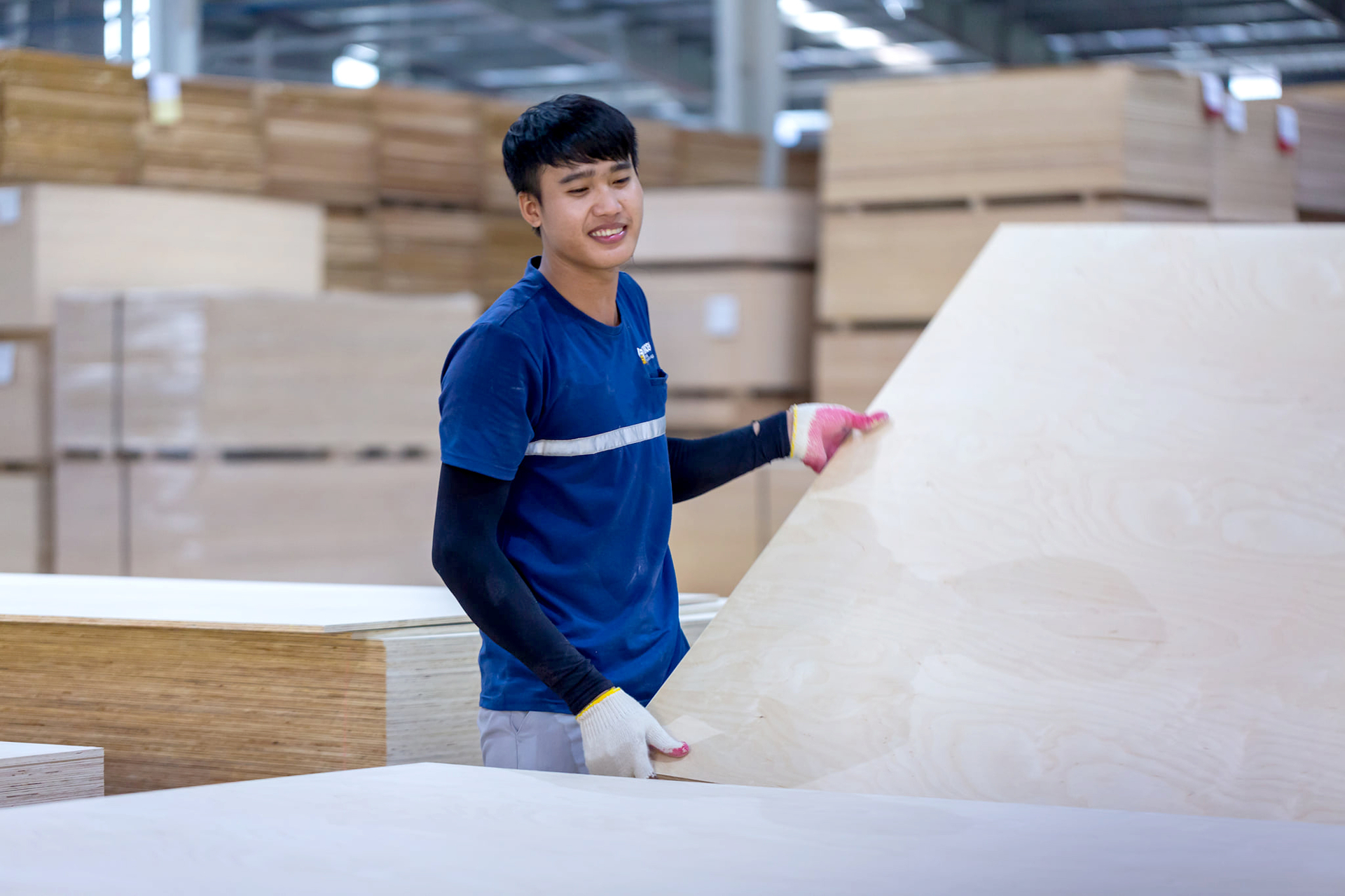 Wood processing for export at a factory in Binh Duong. Photo: Son Trang.