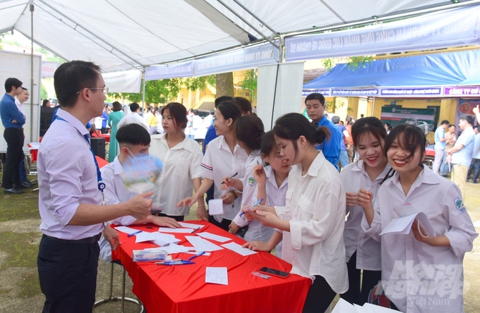 Từ đầu năm đến nay, tỉnh Tuyên Quang đã tư vấn định hướng nghề nghiệp, việc làm cho 5.390 người lao động. Ảnh: Đào Thanh.