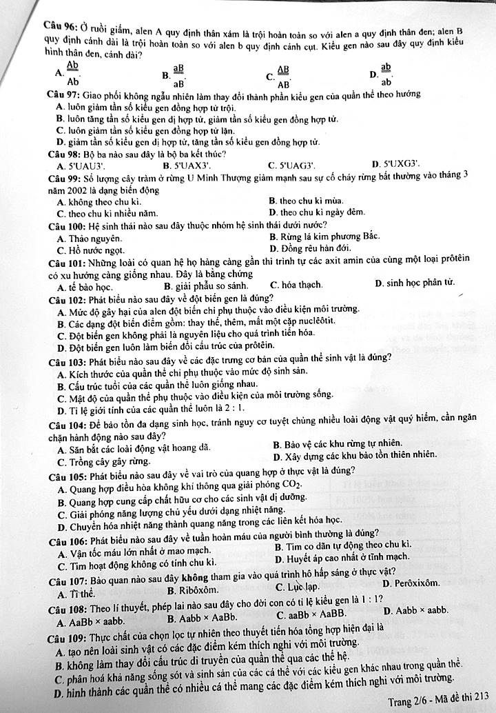 Đề thi tốt nghiệp THPT Quốc gia 2023 môn Sinh học