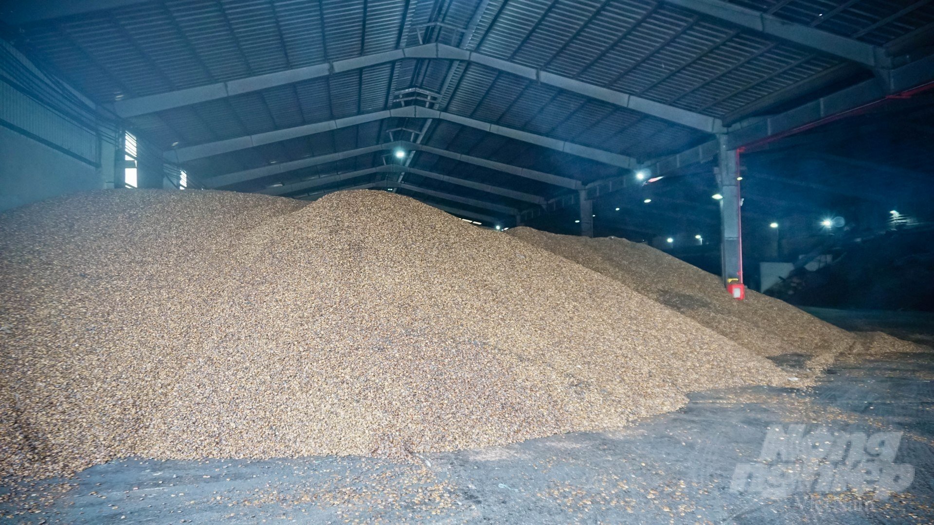 Cashew shell is an extremely abundant and cheap material, but it has not been used much. This is an 'open gold mine' with a lot of potential. Photo: Le Binh.