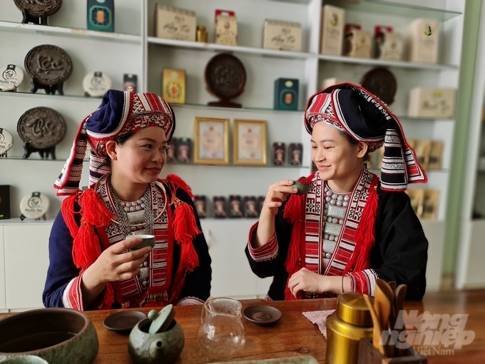 Thiếu nữ Dao đỏ Thông Nguyên (huyện Hoàng Su Phì) và sản phẩm chè cổ thụ shan tuyết từ bản làng.