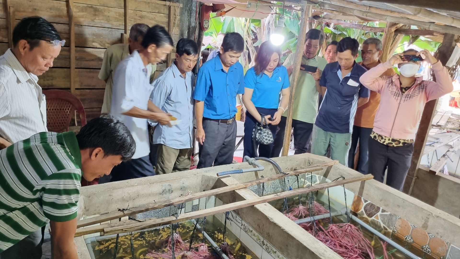 Nuôi lươn không bùn trong bể xi măng, cho ăn thức ăn công nghiệp giúp kiểm soát tốt môi trường, giảm thất thoát. Ảnh: Diễm Trang.