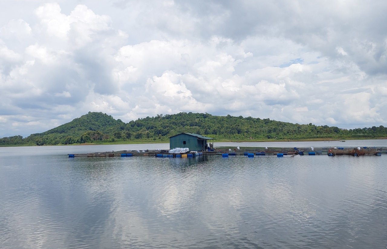 Nếu như cho thuê mặt nước nuôi trồng thủy sản các đơn vị quản lý hồ có thêm nguồn kinh phí sữa chữa, nâng cấp công trình khi hư hỏng. Ảnh: Quang Yên.