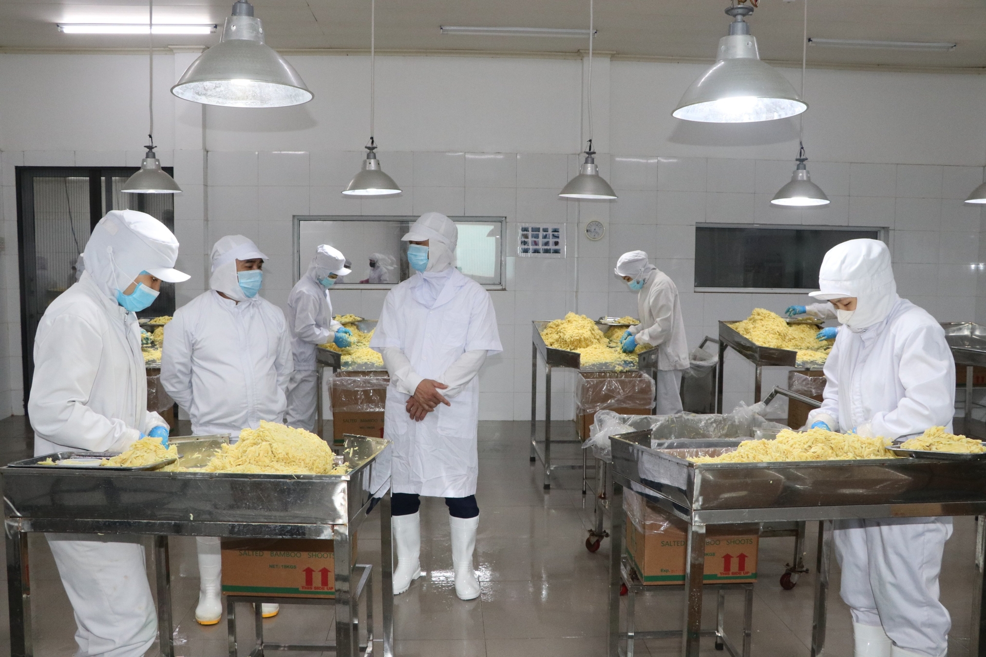 Người lao động được tư vấn học nghề và giới thiệu việc làm tại nhà máy chế biến măng tre Bát Độ xuất khẩu của công ty Yamazaky tại huyện Trấn Yên. Ảnh: Thanh Tiến