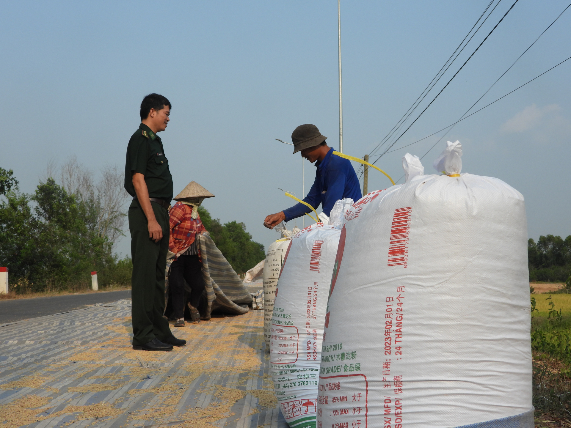 Người dân xã biên giới Phước Chỉ phơi nông sản trên tuyến đường vành đai biên giới. Ảnh: Lê Bình.