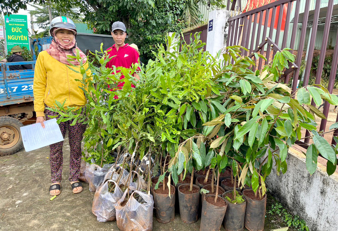 Nông dân nhận cây xanh về trồng trong vườn cà phê. Ảnh: Thanh Sơn.
