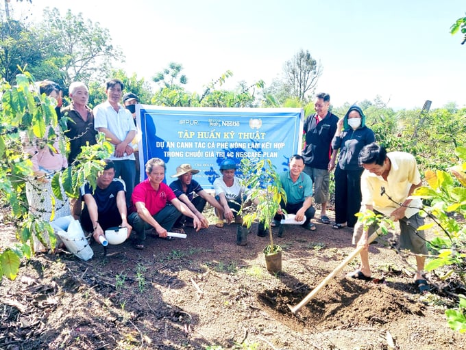 Tập huấn kỹ thuật trồng cây xanh trong vườn cà phê cho nông dân Tây Nguyên. Ảnh: Thanh Sơn.