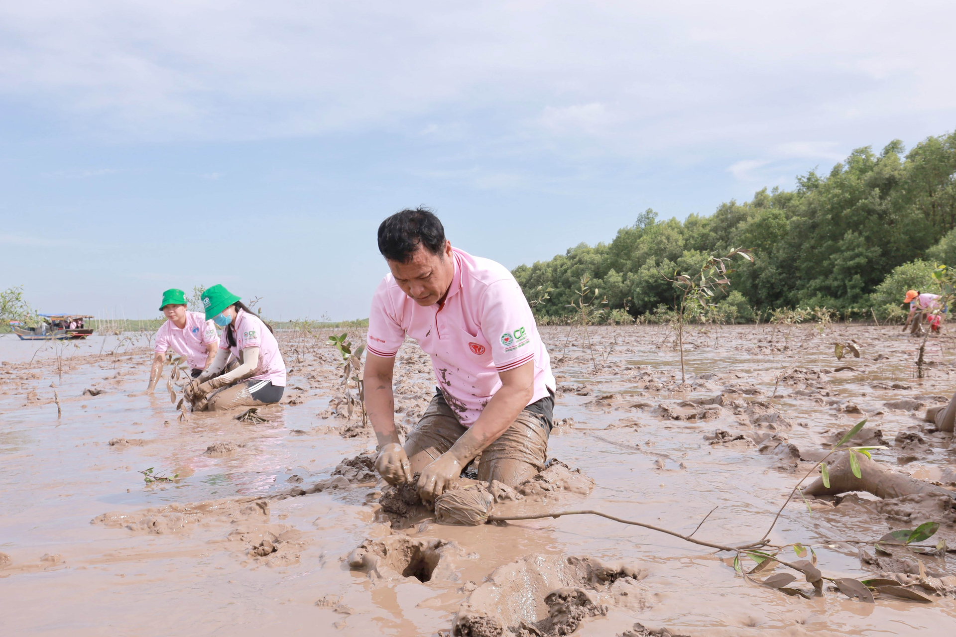 Tình nguyện viên của C.P. Việt Nam tham gia trồng rừng ngập mặn. Ảnh: Thanh Sơn.
