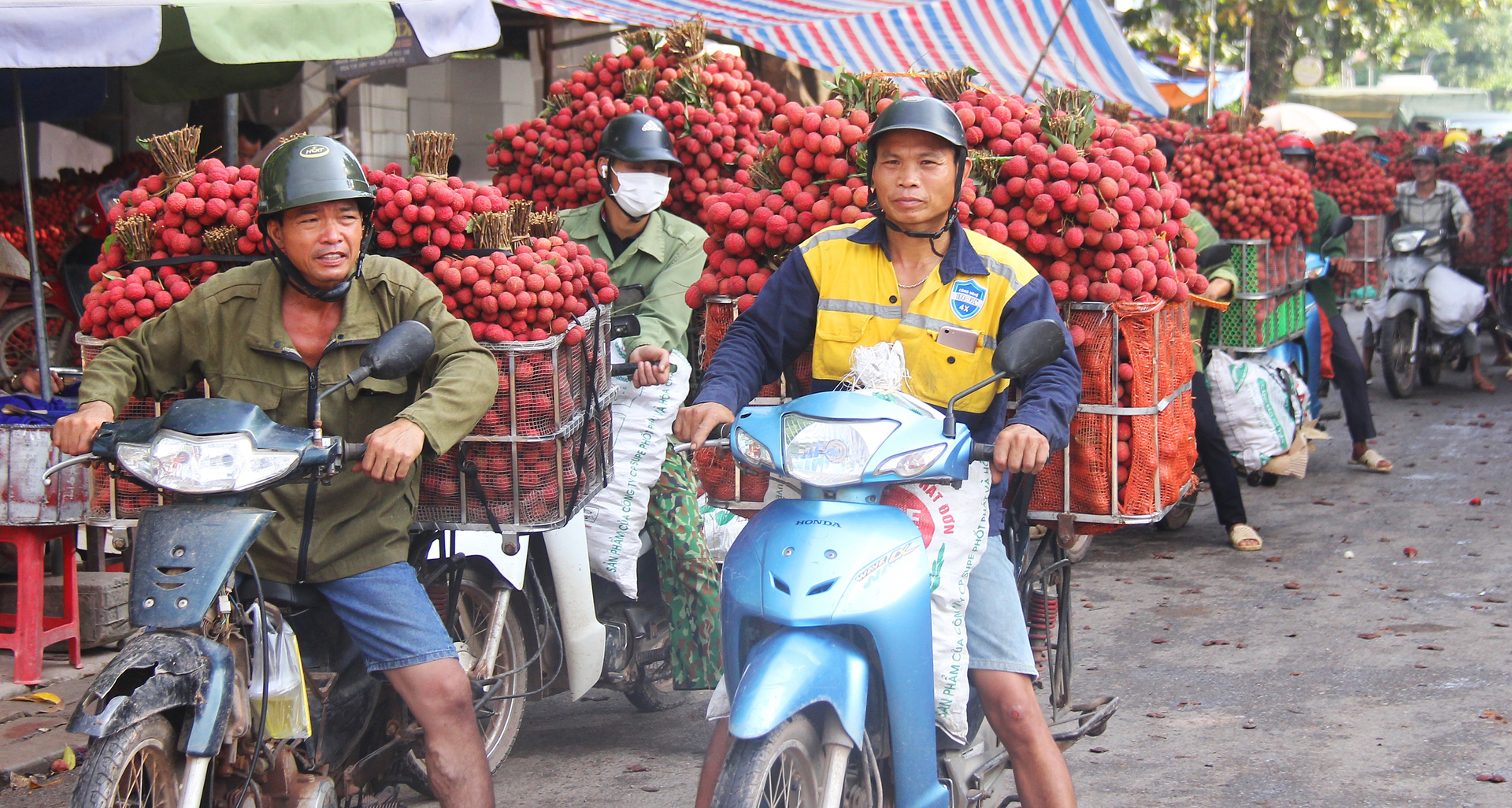 Việc tăng cường thương mại điện tử và chế biến sâu đã góp phần giảm nhiều sức ép tiêu thụ trực tiếp tại các điểm thu mua. Ảnh: Nguyễn Hưởng.