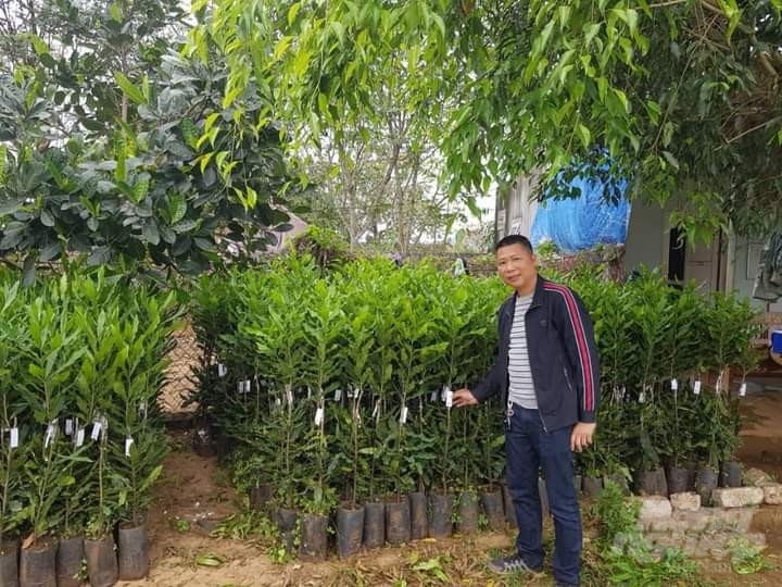 Ông Dương Tiến Thành, Giám đốc Công ty TNHH Thương mại và Dịch vụ Bảo Ngọc  phấn khởi khi vườn ươm giống mắc ca phát triển tốt, đảm bảo các tiêu chuẩn kỹ thuật. Ảnh: HQ.