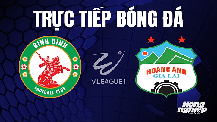 Trực tiếp bóng đá V-League 2023 giữa Bình Định vs HAGL hôm nay 2/7/2023