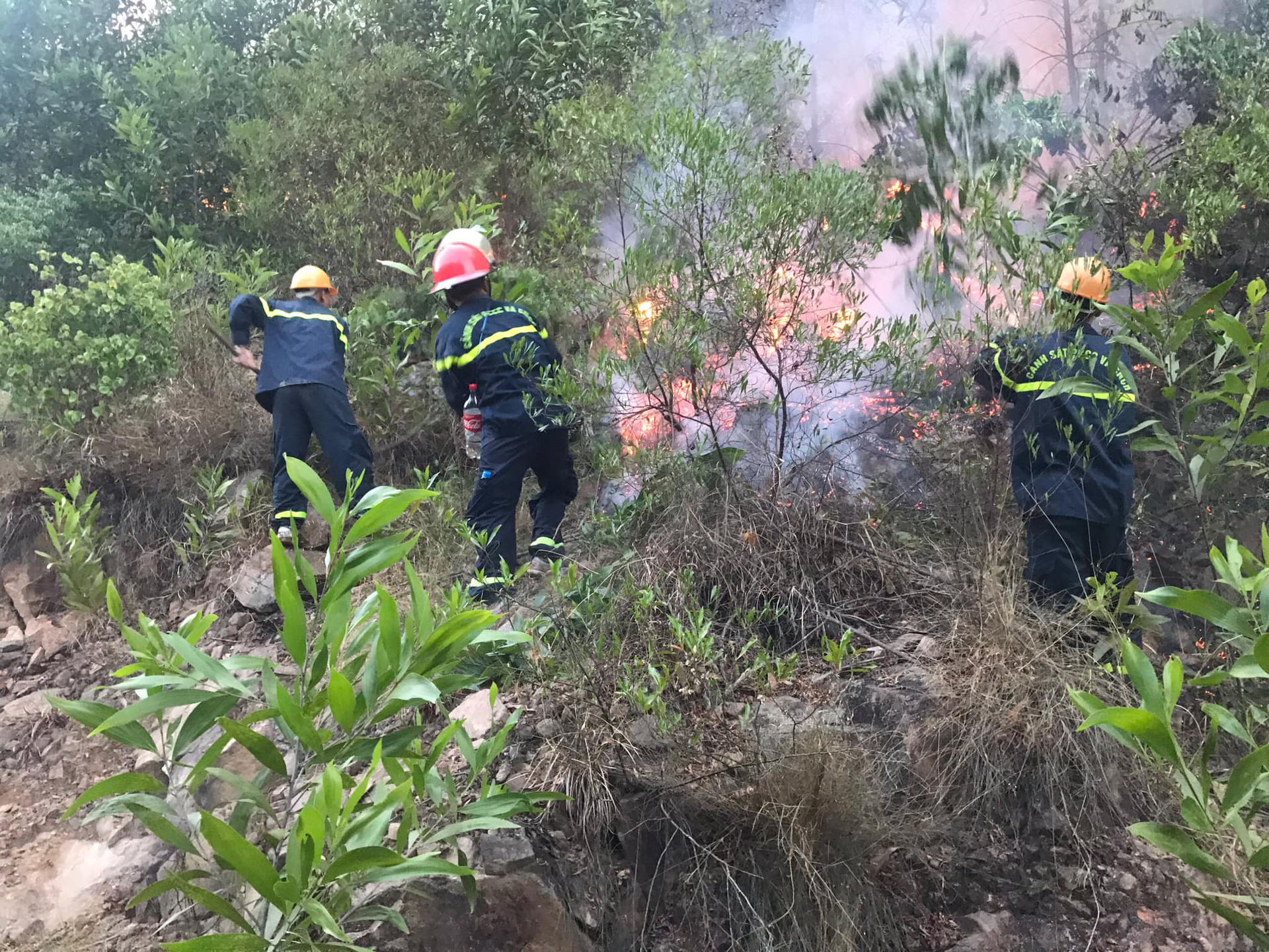 Trang thiết bị chữa cháy rừng thiếu và yếu nên mỗi khi xảy ra cháy rừng, việc khống chế cháy hết sức khó khăn, hiệu quả thấp, gây thiệt hại lớn.