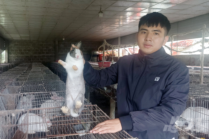 Nuôi thỏ thương phẩm đang mang lại hướng đi mới trong phát triển kinh tế của người dân huyện Hướng Hóa, Quảng Trị. Ảnh: Võ Dũng.