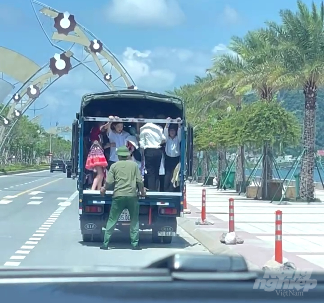 Hình ảnh lái xe cho người lên thùng xe. Ảnh: Facebook Người Quảng Ninh