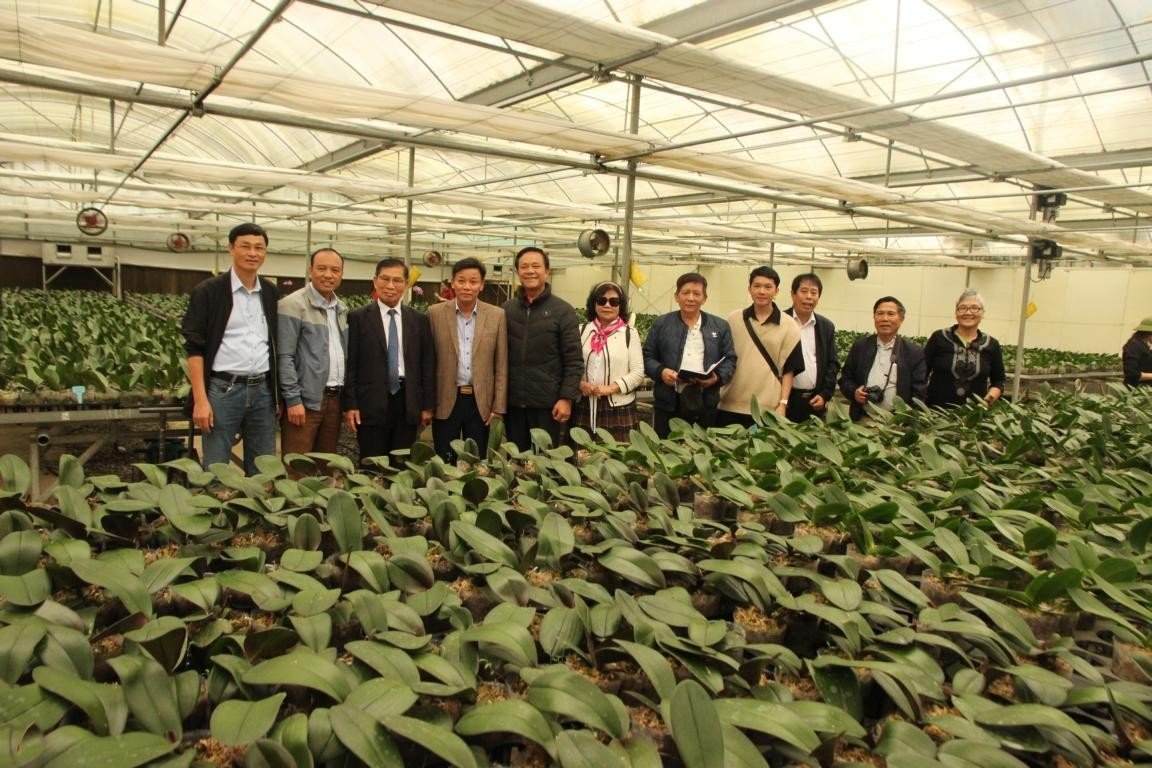 The team of journalists visited the orchid garden.