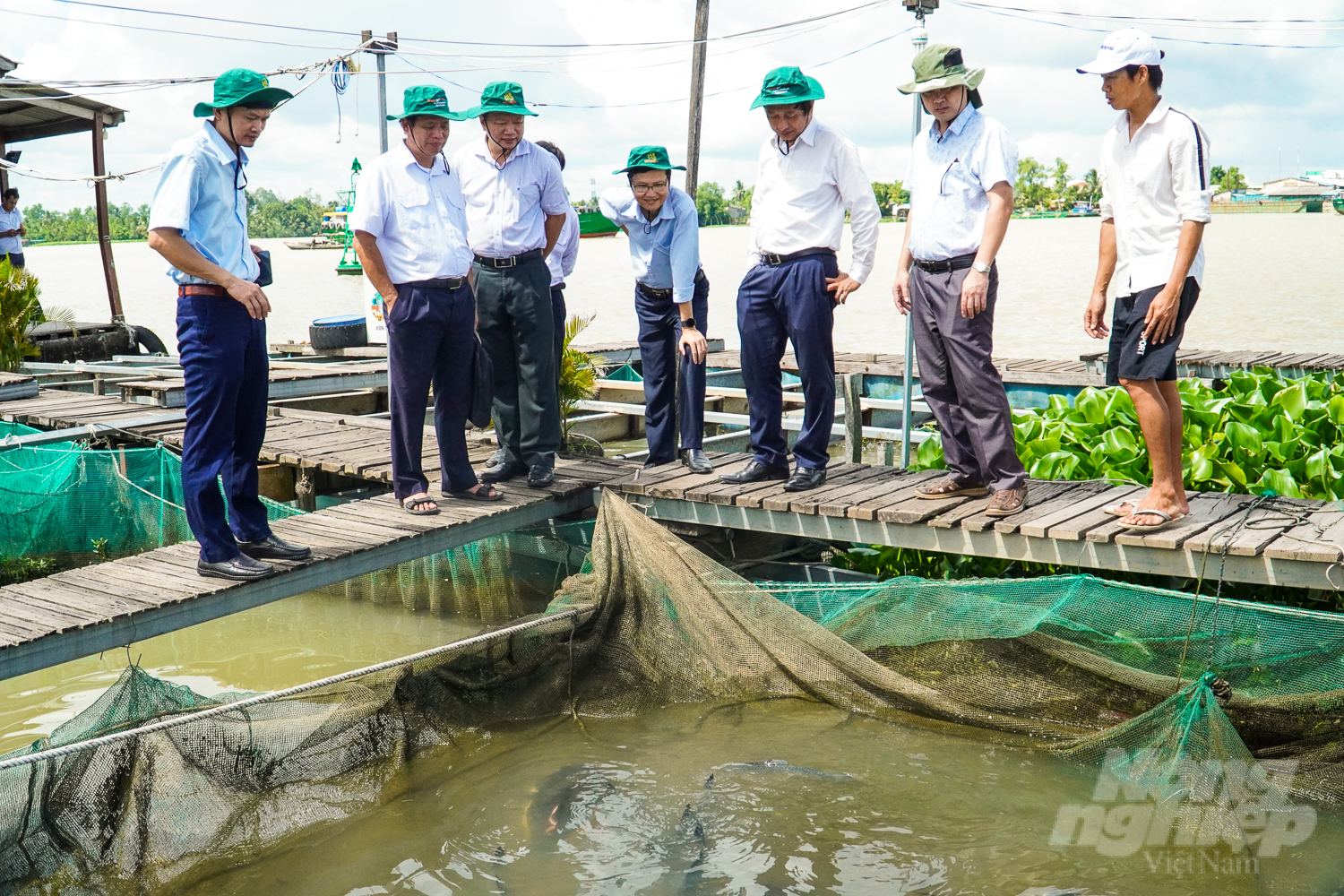 Mr. Phan Quang Minh, Deputy Director of the Department of Animal Health, and units under the Can Tho City Department of MARD inspecting the prevention of aquatic diseases at Bay Bon fish raft, Con Son, Binh Thuy district. Photo: Kim Anh.