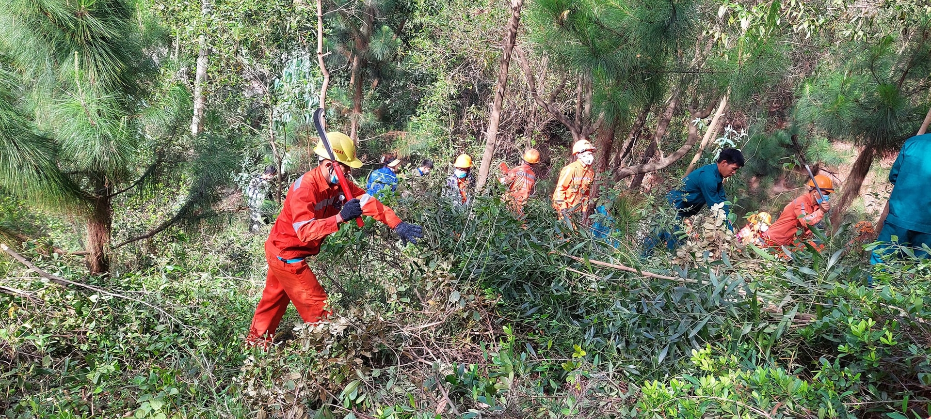 Cần chú trọng làm nhiều đường băng cản lửa hoặc đường giao thông vào rừng, vừa thuận lợi cho phòng cháy, chữa cháy rừng, vừa có tác dụng cản lửa khi xảy ra cháy rừng. 