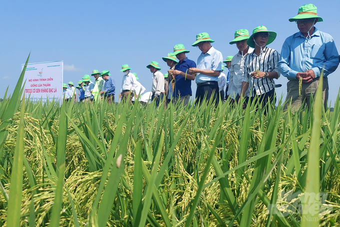 Ứng dụng tiến bộ khoa học kỹ thuật vào sản xuất sẽ giúp kinh tế cư dân vùng nông thôn dần thay đổi về chất. Ảnh: Võ Dũng.