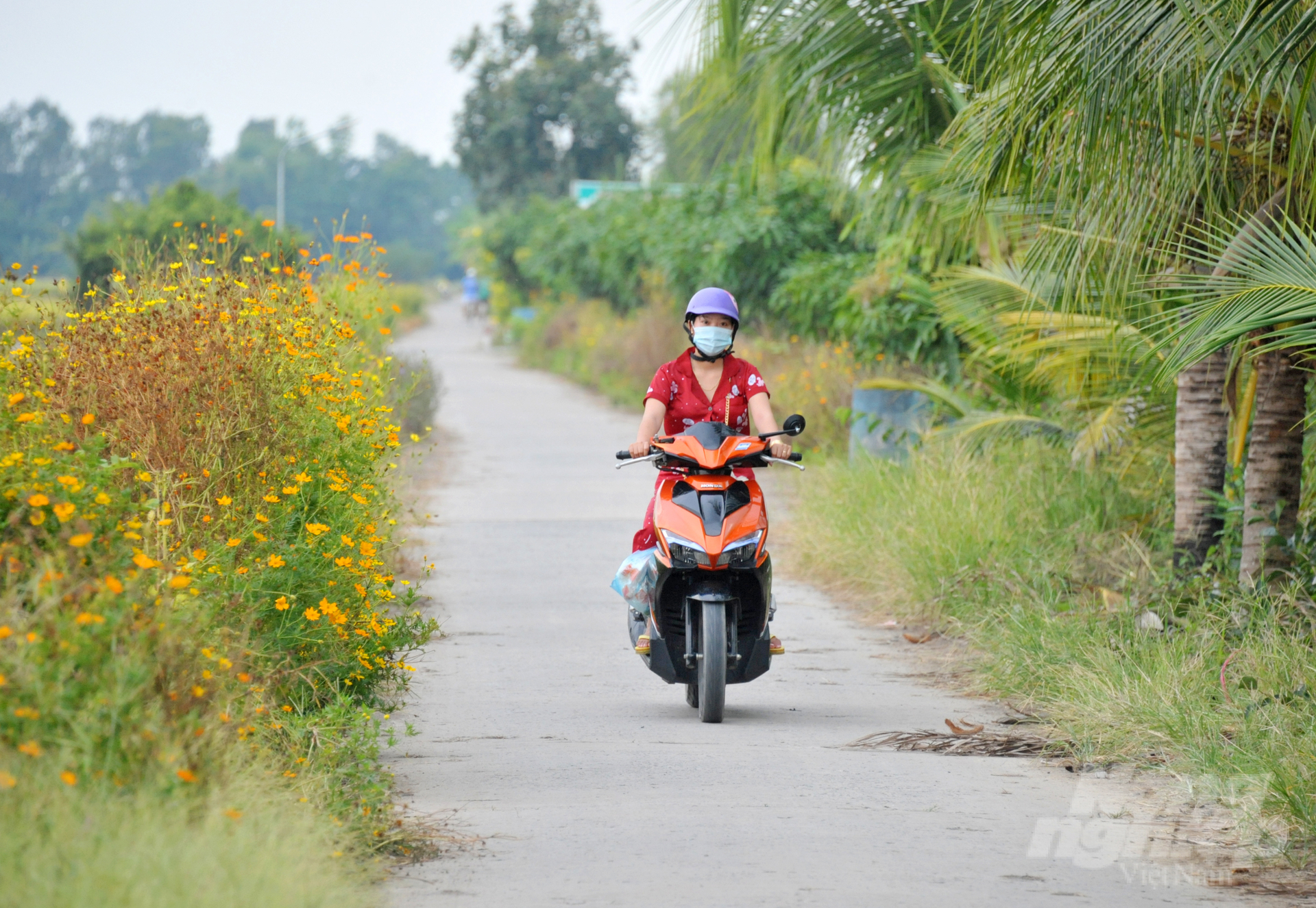 Đến nay, toàn tỉnh có 109 xã đã được UBND tỉnh Đồng Tháp công nhận đạt chuẩn nông thôn mới, 18 xã được công nhận đạt chuẩn nông thôn mới nâng cao. Ảnh: Lê Hoàng Vũ.