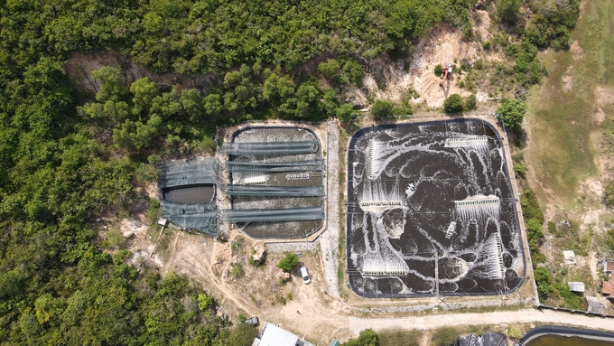 Mr. Chinh's 3-stage shrimp farming model in Ninh Phu commune, Ninh Hoa town, Khanh Hoa province. Photo: Kim So.