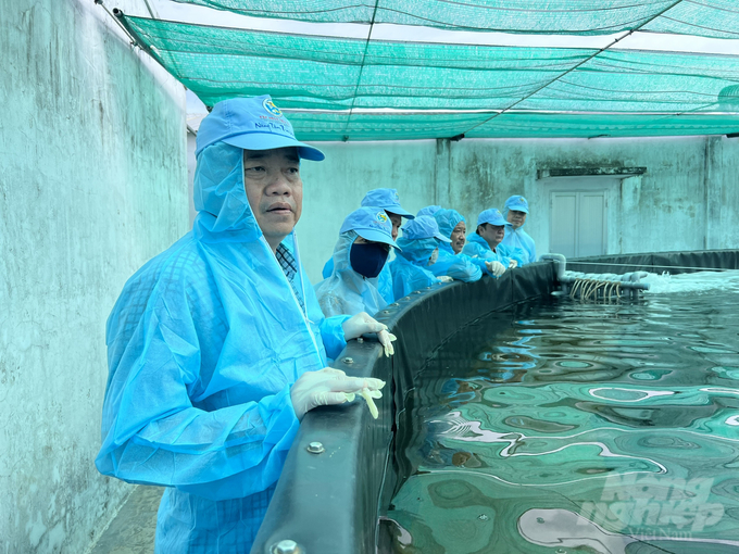 Chủ tịch UBND tỉnh Cà Mau, ông Huỳnh Quốc Việt cùng đoàn công tác Bộ NN-PTNT thăm mô hình nuôi tôm của Tập đoàn Việt Úc tại huyện Ngọc Hiển. Ảnh: Trọng Linh.