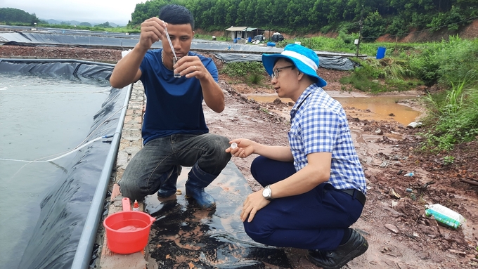 Giám sát, kiểm tra chất lượng nước trong quá trình nuôi tôm để đảm bảo an toàn dịch bệnh. Ảnh: Văn Nguyễn.