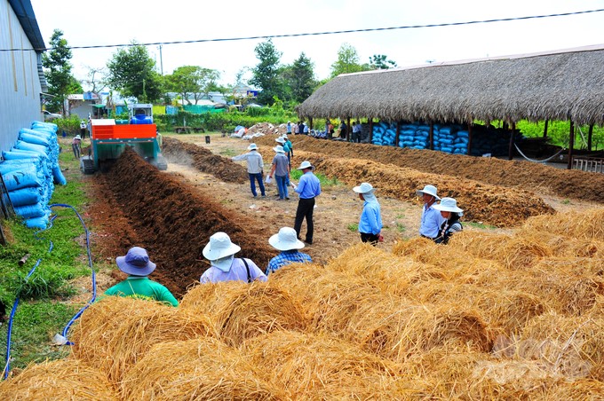 Currently, some cooperatives in Can Tho City have produced organic fertilizer from straw with technology supported by IRRI to sell to the market. Photo: Le Hoang Vu.