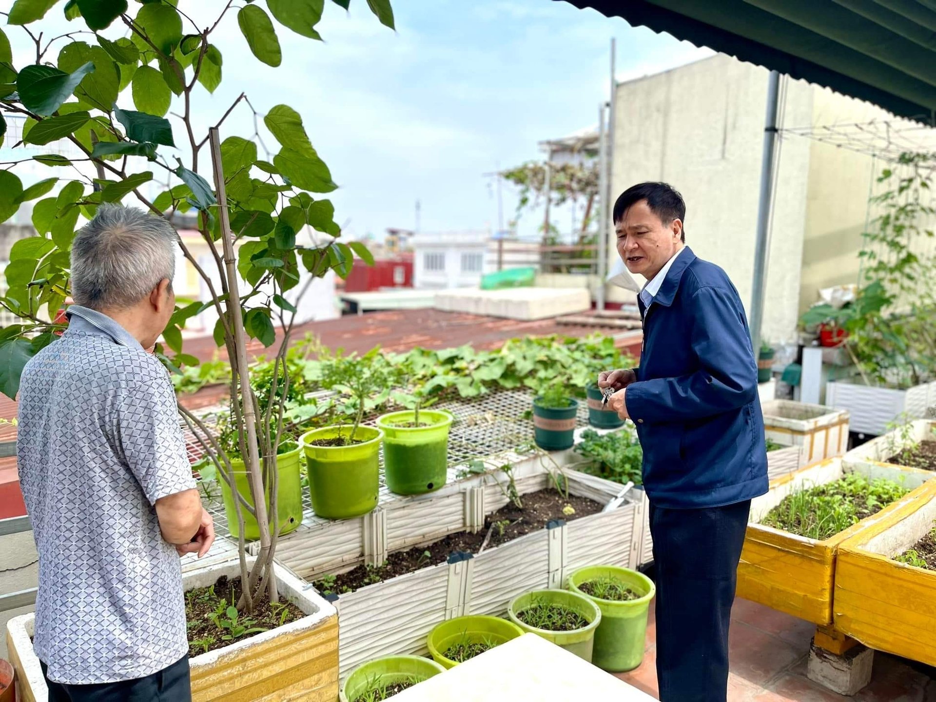 Urban agriculture development in Hai Phong is basically fragmented and has not been carried out methodically due to the large potential for peri-urban agricultural development. Photo: Van Nguyen.