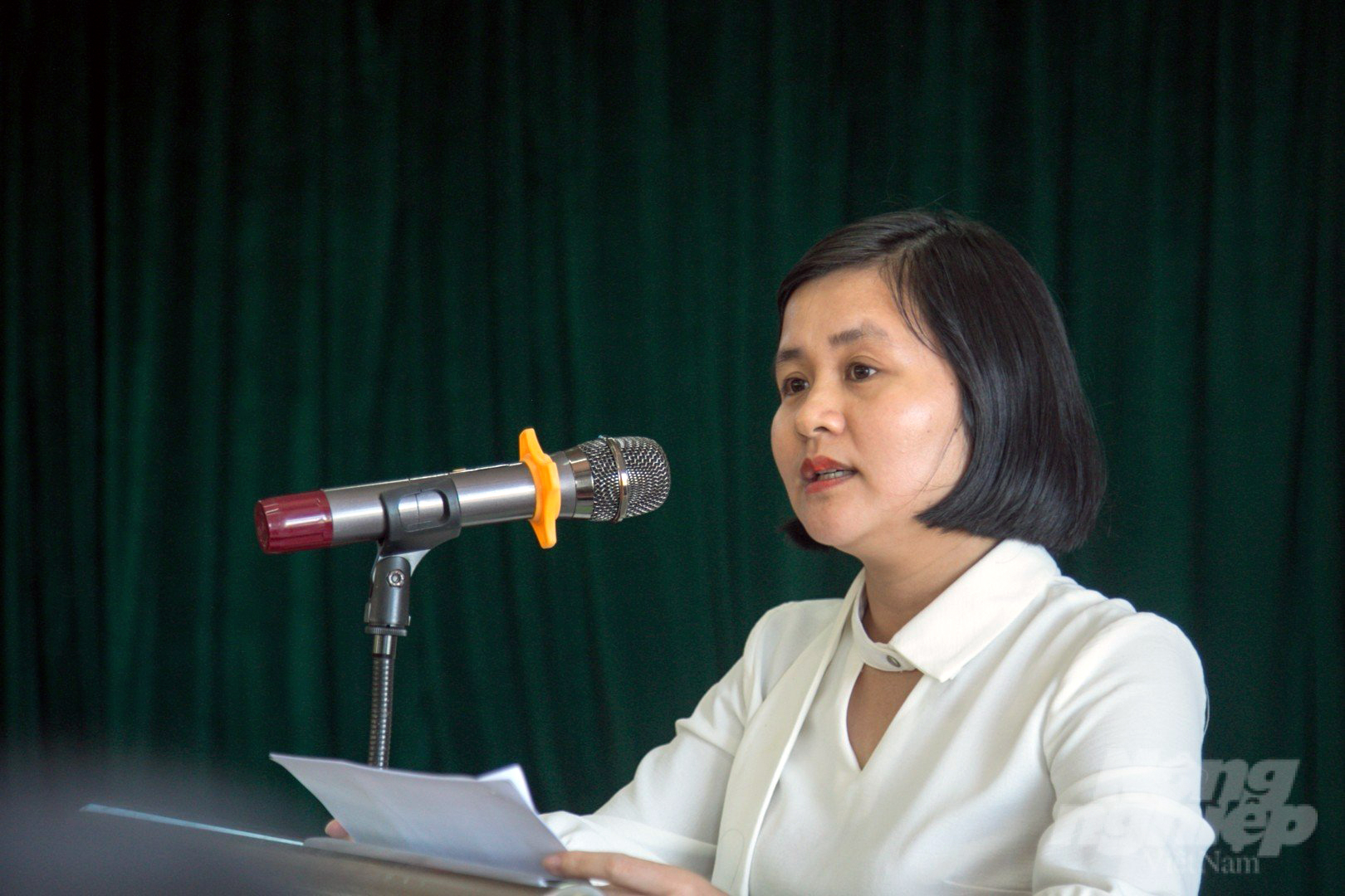 Ms. Nguyen Hong Phuong, Deputy Director of Quang Tri province's Department of Agriculture and Rural Development, reporting on the state of local coffee production. Photo: Vo Dung.