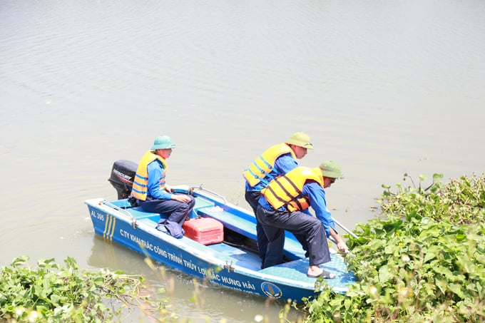 Đoàn thanh niên Công ty Khai thác công trình thủy lợi Bắc Hưng Hải dọn bèo trên khu vực bờ kênh.