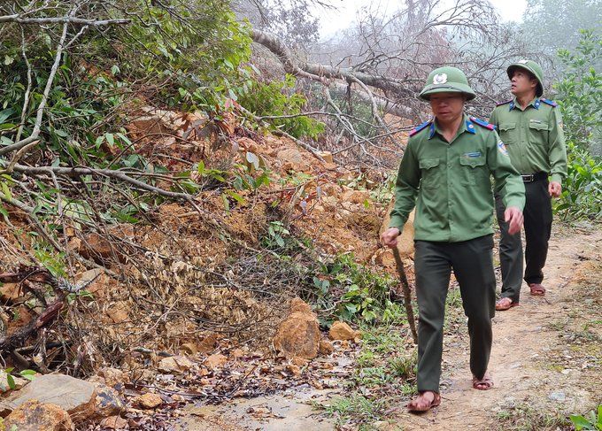 Nghị quyết được thông qua là động lực lớn để lực lượng bảo vệ rừng chuyên trách chuyên tâm gắn bó với nghề. Ảnh: Việt Khánh.