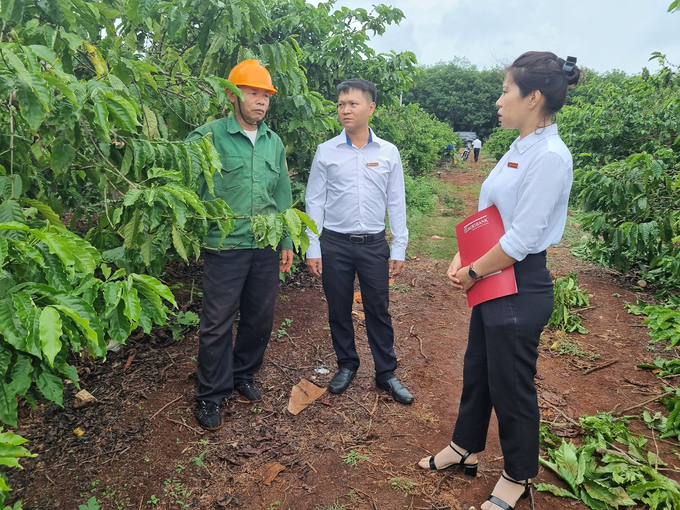 Agribank Đông Gia Lai phát huy rất tốt chương trình vay vốn trong lĩnh vực nông nghiệp, nông thôn. Ảnh: Tuấn Anh.