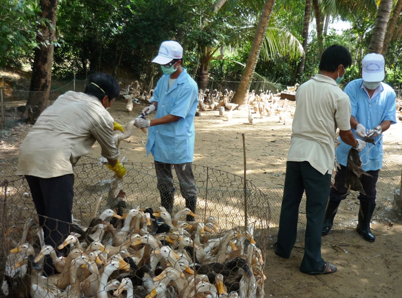 Câu chuyện tự chủ tài chính với Trung tâm Dịch vụ nông nghiệp huyện vẫn là điều gì đó rất xa vời. Ảnh: V.Đ.T.