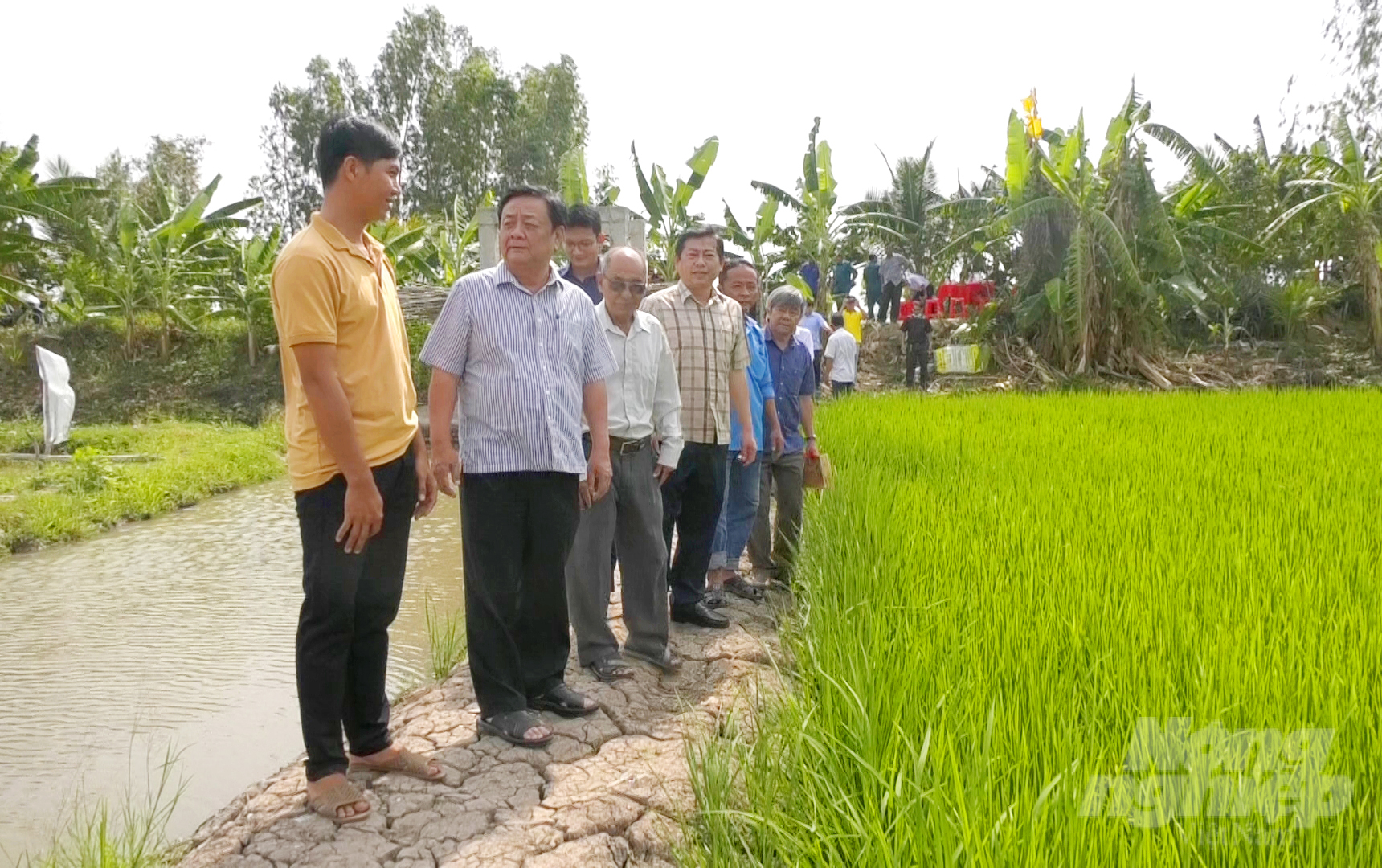 Bộ trưởng Bộ NN-PTNT Lê Minh Hoan (thứ 2 từ trái sang) đến thăm mô hình sản xuất nông nghiệp sinh thái lúa - cá - vịt ở xã Phú Thành A, huyện Tam Nông (Đồng Tháp). Ảnh: Lê Hoàng Vũ.