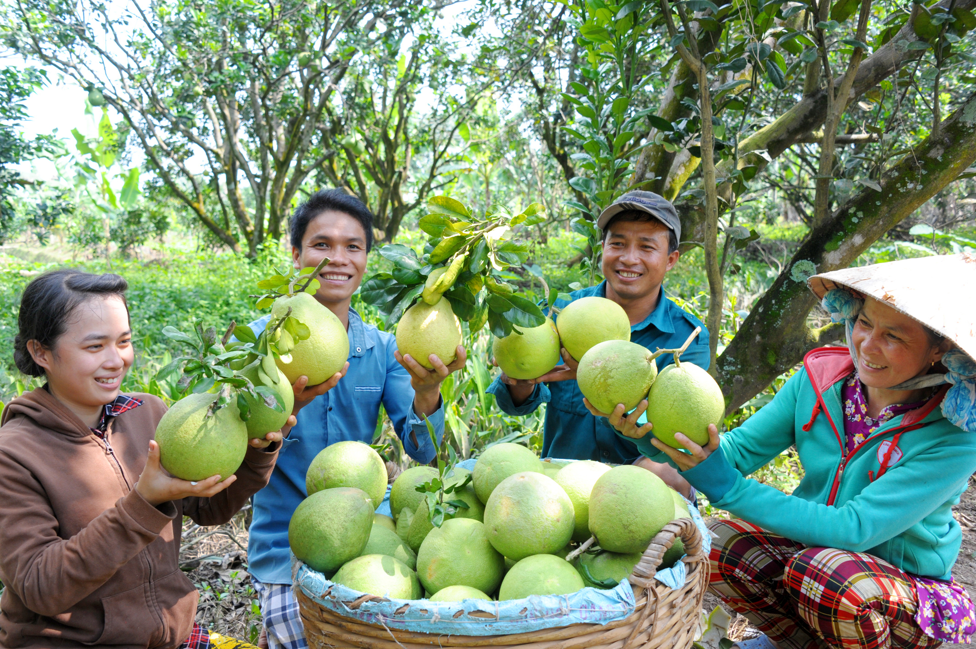 Farmers build many fruit growing models in association with eco-tourism development, profits 1.5 - 2 times higher than that of specialized fruit tree farming. Photo: Le Hoang Vu.