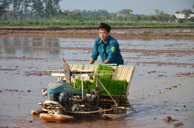 Máy cấy xuống đồng. Ảnh: NNVN.