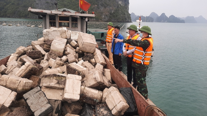 Lực lượng chức năng huyện Vân Đồn thu gom phao xốp tại vịnh Bái Tử Long. Ảnh: Văn Nguyễn.