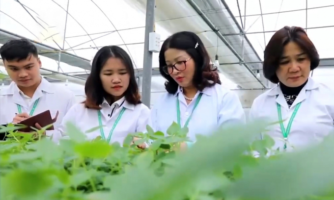 Học viện Nông nghiệp Việt Nam chú trọng nguồn nhân lực chất lượng cao. Ảnh: HVNN.