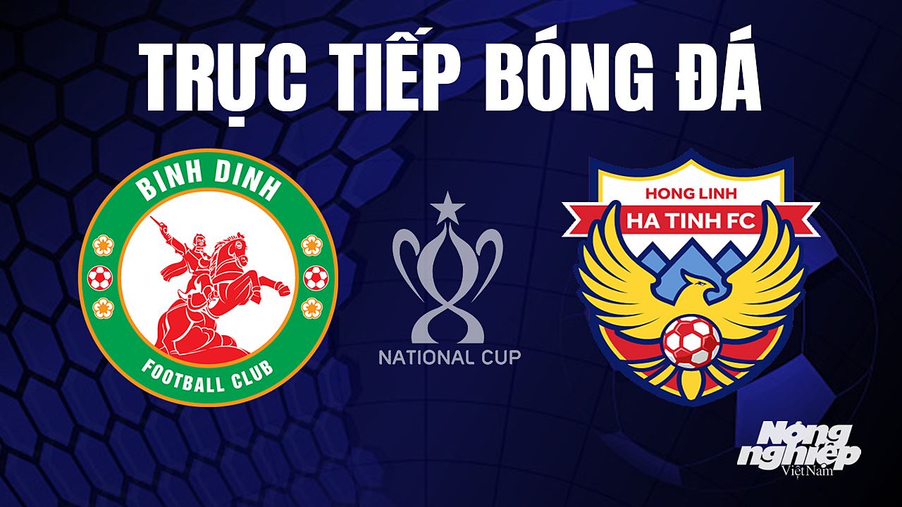 Trực tiếp bóng đá Cúp Quốc gia Việt Nam 2023 giữa Bình Định vs Hà Tĩnh hôm nay 10/7/2023