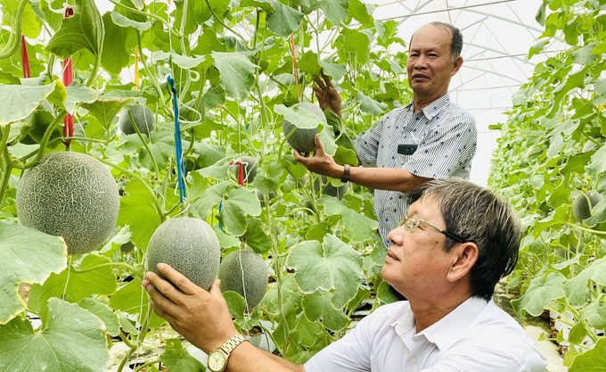 Open agriculture means open to human resources training. Photo: Le Hoang Vu.​
