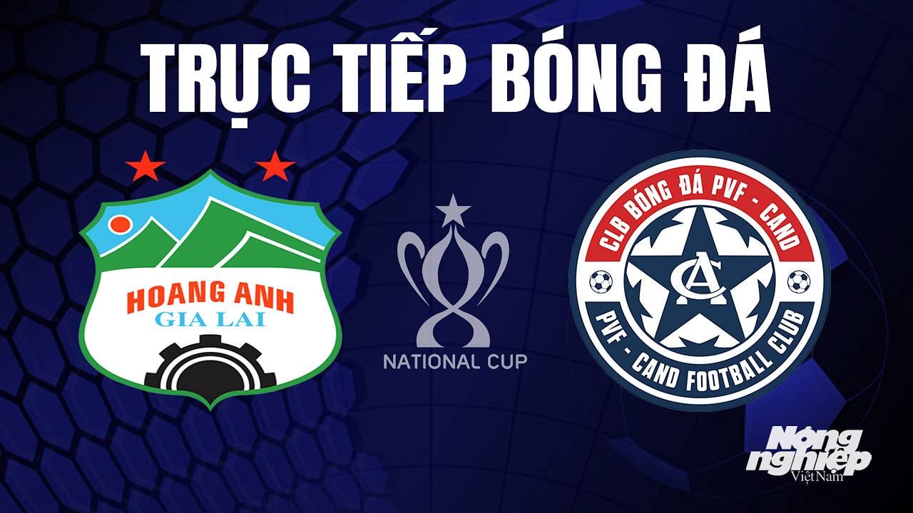 Trực tiếp bóng đá Cúp Quốc gia Việt Nam 2023 giữa HAGL vs PVF-CAND hôm nay 11/7/2023